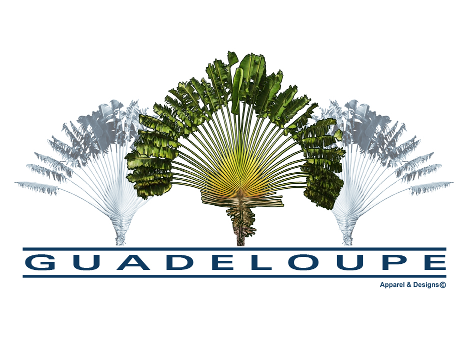 Guadeloup Arbre Du Voyageur